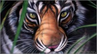body painting pictures - body painting video - body-painting - craig tracy