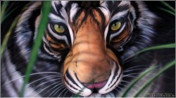 Un magnifique Body-painting pour sauver les derniers tigres de Chine