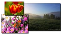Themepack pour Windows 7 - Theme Czech Spring